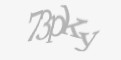 Қорғаныс коды
